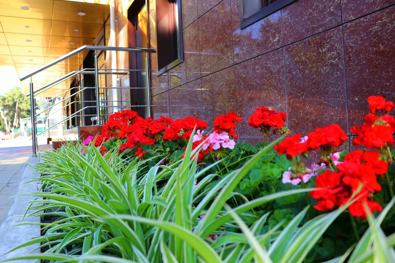 Гостиница Мишель Анапа-76